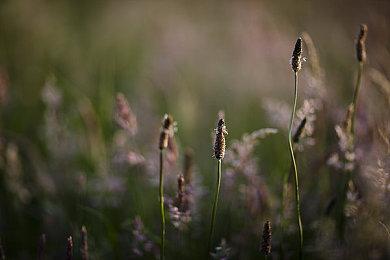 《百万吨级武藏》新预告片＆实机视频展示自定义内容